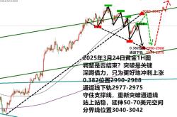 金价血洗3000！多头末日？抄底暴富？